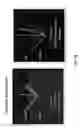 Fig. 19 - Beta and alpha emission tomography for three-dimensional autoradiography