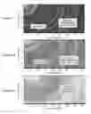 Fig. 04 - Derivative Imaging for Subsurface Object Detection