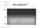 Fig. 34 - Light-emitting device and display device