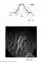 Fig. 10 - Optical imaging devices and variable-focus lens elements, and methods for using them