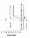 Fig. 04 - Means for controlling the progression of myopia