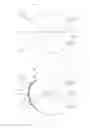 Fig. 02 - Multifunction contact lens