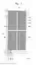 Fig. 02 - METHOD OF MANUFACTURING DISPLAY DEVICE