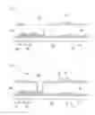 Fig. 15 - Liquid crystal display and method for manufacturing same
