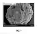 Fig. 02 - Styrene acrylate hybrid toner process utilizing a low VOC (volatile organic compound) coalescent agent in toner shells