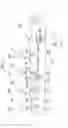 Fig. 03 - Image forming apparatus with mirror curving adjustment unit