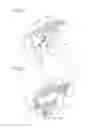 Fig. 06 - Image forming apparatus having a fixing member with a nip which can be pressed at different pressure levels