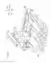 Fig. 04 - Image forming apparatus including coupling member selectively coupled to photosensitive drum