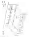 Fig. 09 - Image forming apparatus including coupling member selectively coupled to photosensitive drum