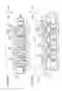 Fig. 16 - Image forming apparatus including coupling member selectively coupled to photosensitive drum