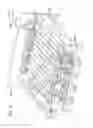 Fig. 19 - Image forming apparatus including coupling member selectively coupled to photosensitive drum