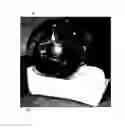 Fig. 01 - Remotely controlled robotic sensor ball