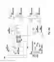 Fig. 40 - Radio-controlled flying craft
