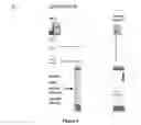 Fig. 08 - MDM2-containing double minute chromosomes and methods therefore