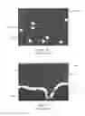 Fig. 04 - Method and apparatus for automated platelet identification within a whole blood sample from microscopy images