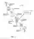 Fig. 02 - Co-processing electronic signals for redundancy