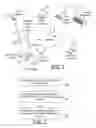 Fig. 02 - MARKETING PROGRAM FOR HOSPITALITY INDUSTRY