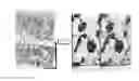Fig. 01 - Method for registering and visualizing at least two images