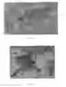 Fig. 23 - POINT CLOUD DATA HIERARCHY