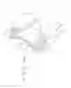 Fig. 01 - Chest tube simulation method and training device
