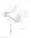 Fig. 03 - Chest tube simulation method and training device