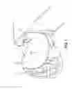 Fig. 07 - CPR patient training mannequin