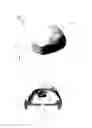 Fig. 02 - Peritoneal cavity simulator