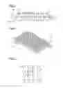 Fig. 03 - Display body and observing method for display body