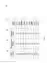 Fig. 06 - Intelligent media synchronization