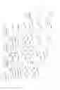 Fig. 07 - Intelligent media synchronization