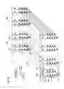 Fig. 04 - Nonvolatile semiconductor memory device