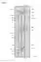 Fig. 02 - Light emitting module