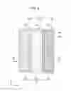 Fig. 04 - Method of manufacturing organic EL device, organic EL device and electronic apparatus