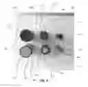 Fig. 07 - BATTERY CONVERTER