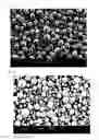 Fig. 02 - Nickel-manganese composite hydroxide particles, method for producing same, cathode active material for non-aqueous electrolyte secondary batteries, method for producing same, and non-aqueous electrolyte secondary battery