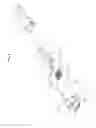 Fig. 07 - Cable Assembly, Camera Module, And Camera Device For Vehicle Including Same