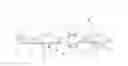 Fig. 01 - Belt strip for contact elements