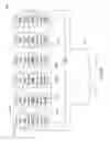 Fig. 06 - System and method for synchronized rapid shutdown of electrical devices