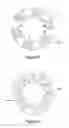 Fig. 06 - Flywheel assembly