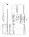 Fig. 06 - Compression engine with consistent throughput