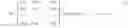 Fig. 02 - Low density parity check encoder having length of 16200 and code rate of 2/15, and low density parity check encoding method using the same