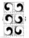 Fig. 09 - Methods and apparatus for orbital angular momentum (OAM) system