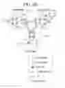 Fig. 04 - Implementing an E-LAN between multi-nodes utilizing a transport network controller