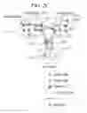 Fig. 05 - Implementing an E-LAN between multi-nodes utilizing a transport network controller