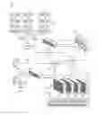 Fig. 01 - Network function virtualization security and trust system