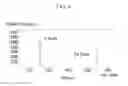 Fig. 07 - Device and method for detecting command and control channel
