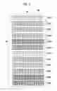 Fig. 06 - Printing system, method of generating halftone processing rule, method of acquiring characteristic parameter, image processing device, image processing method, halftone processing rule, halftone image, method of manufacturing printed material, inkjet printing system, and program