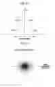 Fig. 28 - Printing system, method of generating halftone processing rule, method of acquiring characteristic parameter, image processing device, image processing method, halftone processing rule, halftone image, method of manufacturing printed material, inkjet printing system, and program