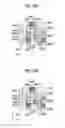 Fig. 52 - Printing system, method of generating halftone processing rule, method of acquiring characteristic parameter, image processing device, image processing method, halftone processing rule, halftone image, method of manufacturing printed material, inkjet printing system, and program