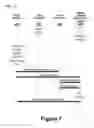 Fig. 08 - System and method for sharing documents and image forming apparatuses in groups